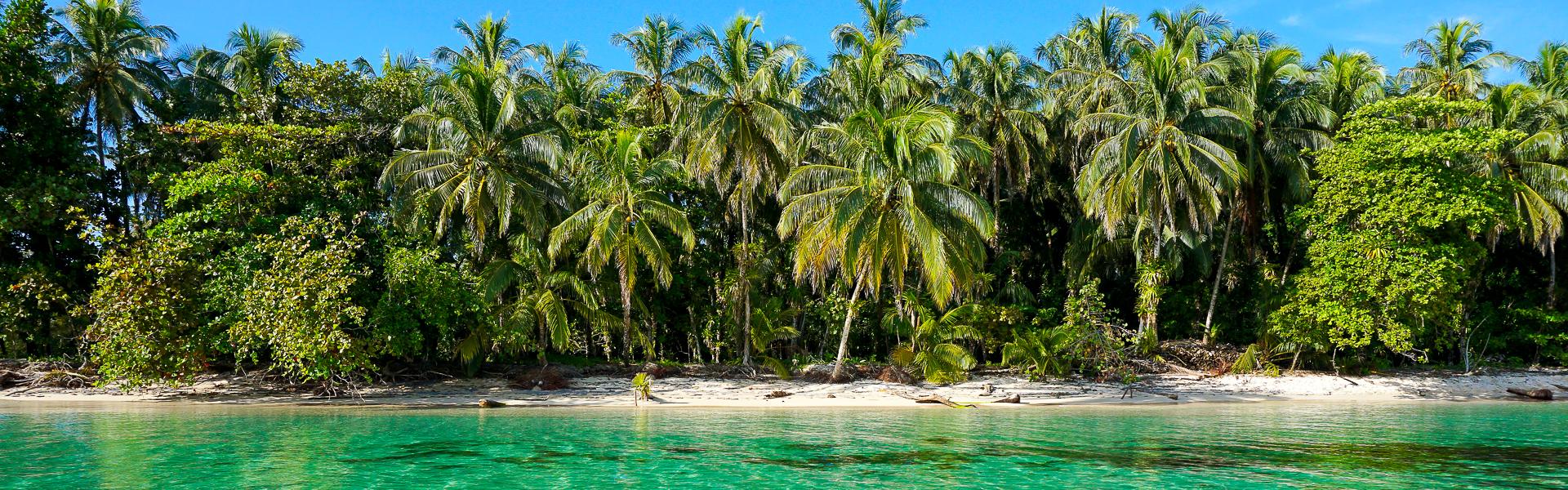 Karibischer Strand in Panama |  Damocean, iStockphoto.com / Chamleon