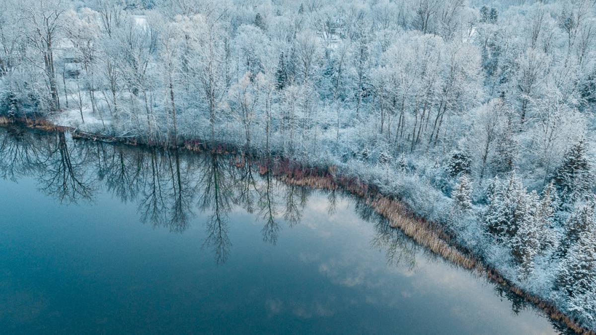 Inarisee | © Aaron Burden, Unsplash / Chamäleon Inarisee | © Aaron Burden, Unsplash / Chamäleon