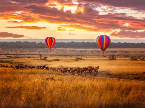 Sonnenaufgang in der Masai Mara mit Ballons und Gnuherde |  Rixipix, iStockphoto.com / Chamleon