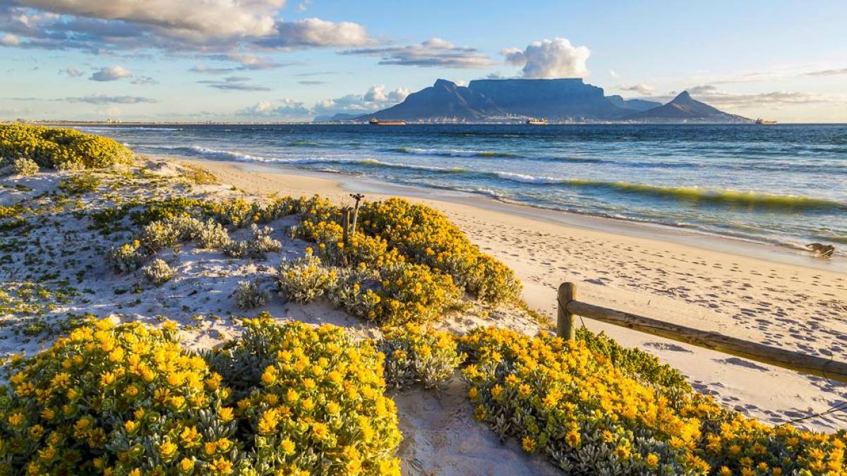 Blick auf den Tafelberg | © Ilonde, iStockphoto.com / Chamäleon Blick auf den Tafelberg | © Ilonde, iStockphoto.com / Chamäleon
