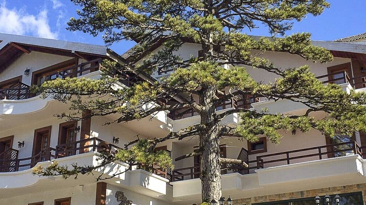 Hotel Sofo |  Hotel Sofo / Chamleon