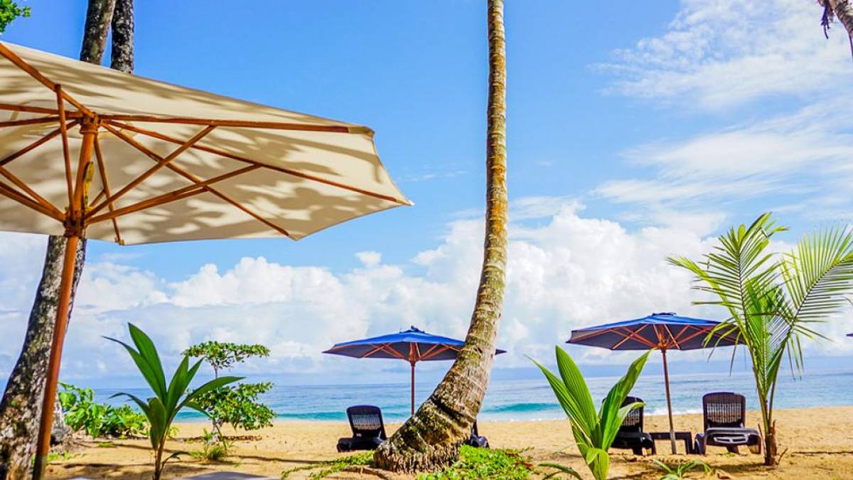 Strand am Island Plantation Hotel | © Island Plantation Hotel / Chamäleon Strand am Island Plantation Hotel | © Island Plantation Hotel / Chamäleon
