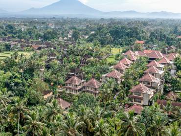 View |  Sakti Garden Ubud / Chamleon