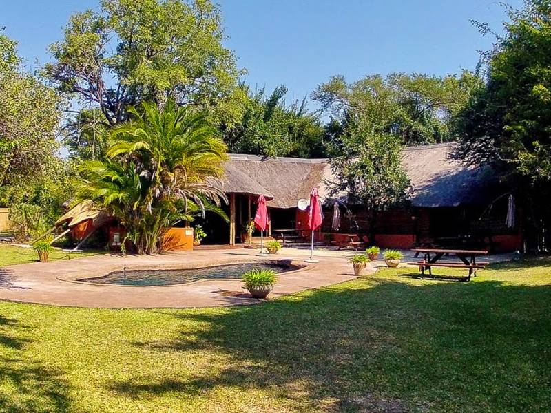 Thebe River Safaris Lodge |  Thebe River Safaris Lodge / Chamleon