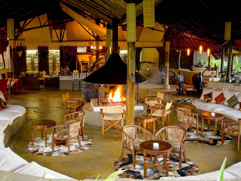 Mbweha Safari Camp  |  Mbweha Safari Camp / Chamleon