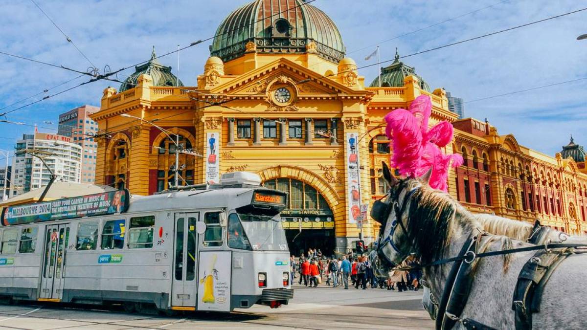 Melbourne | © weyne-yew, Unsplash / Chamäleon Melbourne | © weyne-yew, Unsplash / Chamäleon