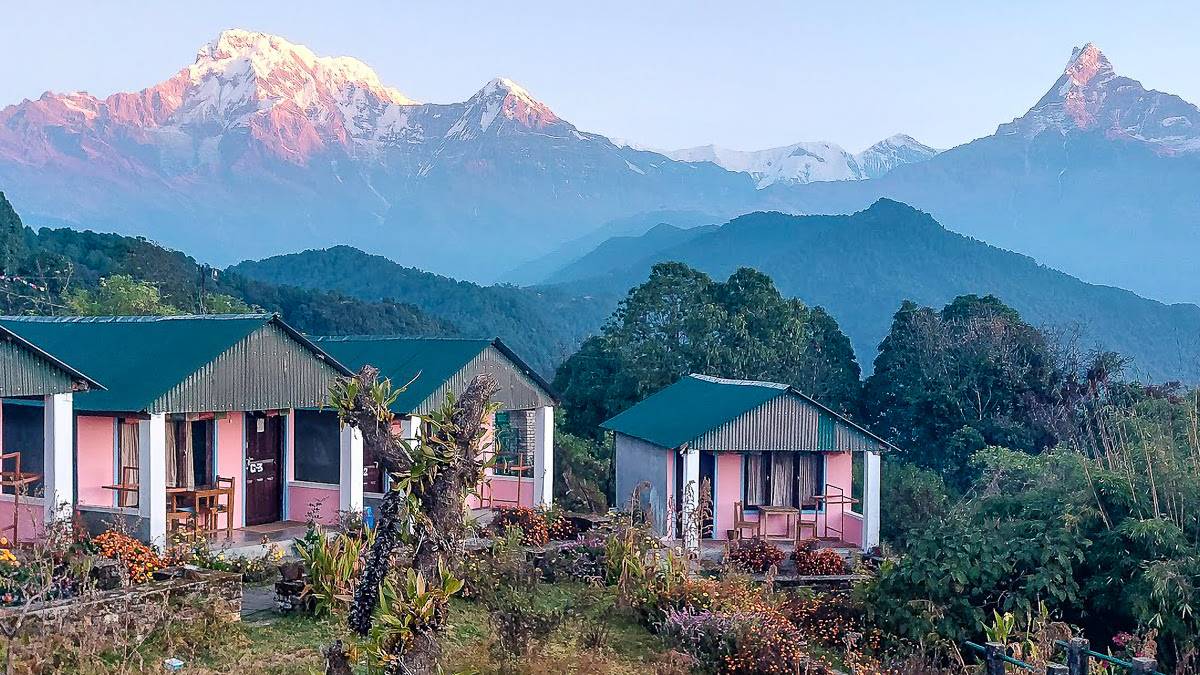 Teehaus Australian Camp |  Teehaus Australian Camp / Chamleon