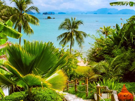 Paradiesische Aussichten |  Chamleon