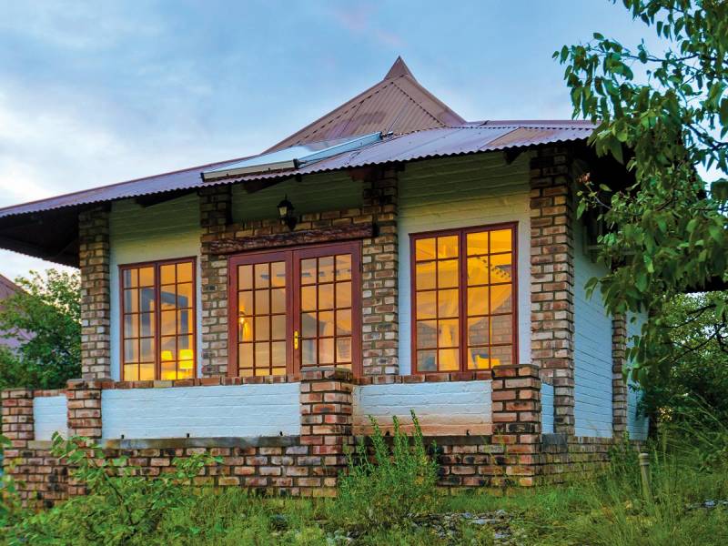 Etosha Safari Lodge |  Etosha Safari Lodge / Chamleon