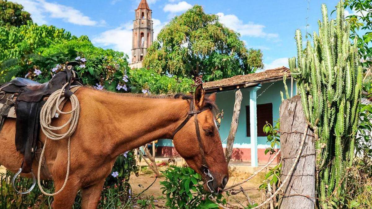Manaca Iznaga bei Trinidad | © Toni Bauer, Cuba Real Tours / Chamäleon Manaca Iznaga bei Trinidad | © Toni Bauer, Cuba Real Tours / Chamäleon