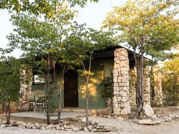 Etosha Omusati Lodge |  Etosha Omusati Lodge / Chamleon