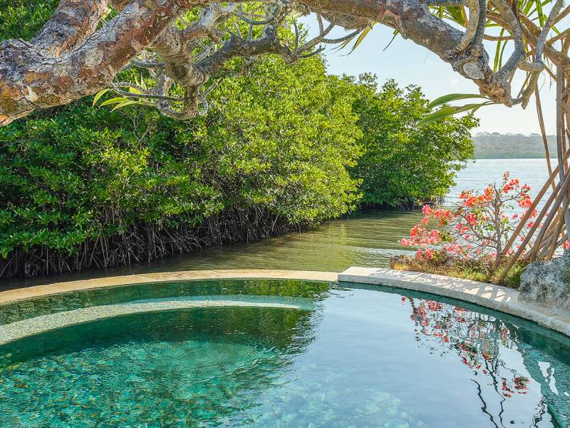 Pool |  DEWANDRA DJELANTIK, Mimpi Resort Menjangan / Chamleon