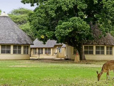 Letaba Rest Camp |  Letaba Rest Camp / Chamleon