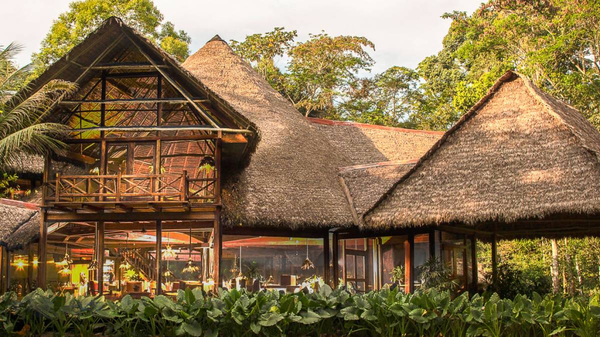 Inkaterra Reserva Amazonica Lodge  | © Inkaterra Reserva Amazonica Lodge / Chamäleon Inkaterra Reserva Amazonica Lodge  | © Inkaterra Reserva Amazonica Lodge / Chamäleon