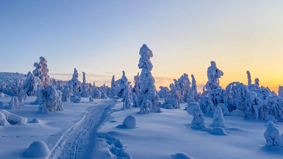 Saariselkä | © Tankavaara Gold Village / Chamäleon Saariselkä | © Tankavaara Gold Village / Chamäleon