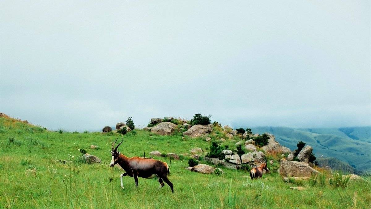 Eswatini (Swaziland) - Official Tourism Video Eswatini (Swaziland) - Official Tourism Video