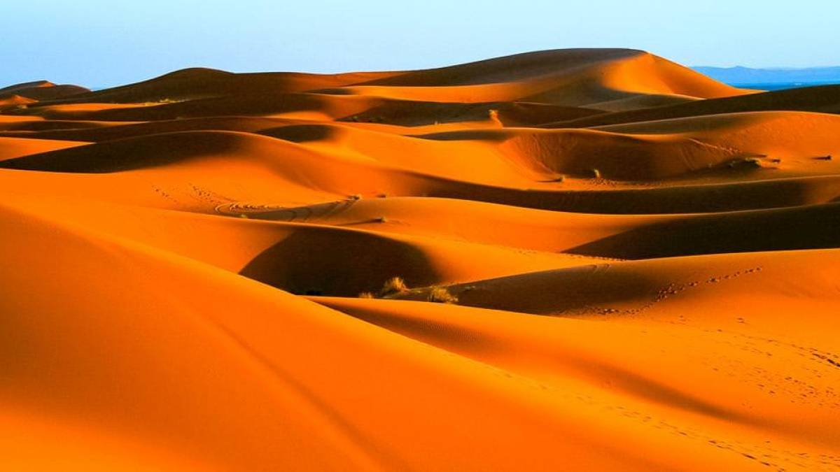 Dünenlandschaft der Sahara | © Neundlinger-Schalleschek / Chamäleon Dünenlandschaft der Sahara | © Neundlinger-Schalleschek / Chamäleon