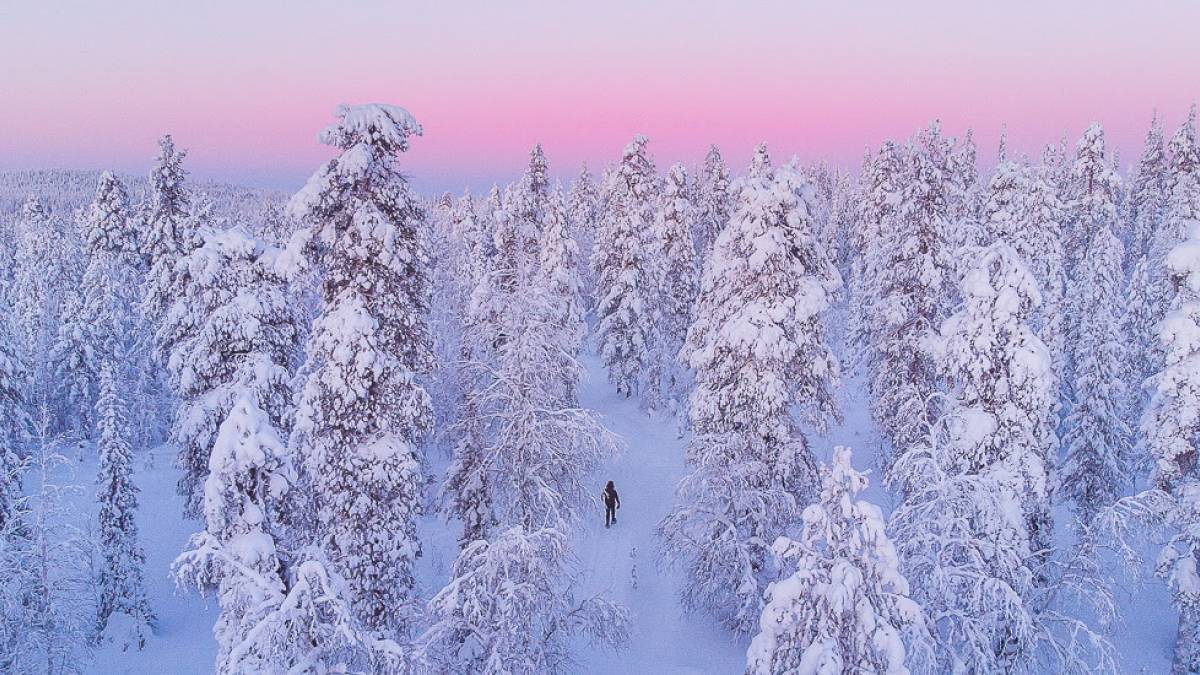 Wald bei Tankavaara Gold Village | © Heikki Sulander, Tankavaara Gold Village / Chamäleon Wald bei Tankavaara Gold Village | © Heikki Sulander, Tankavaara Gold Village / Chamäleon