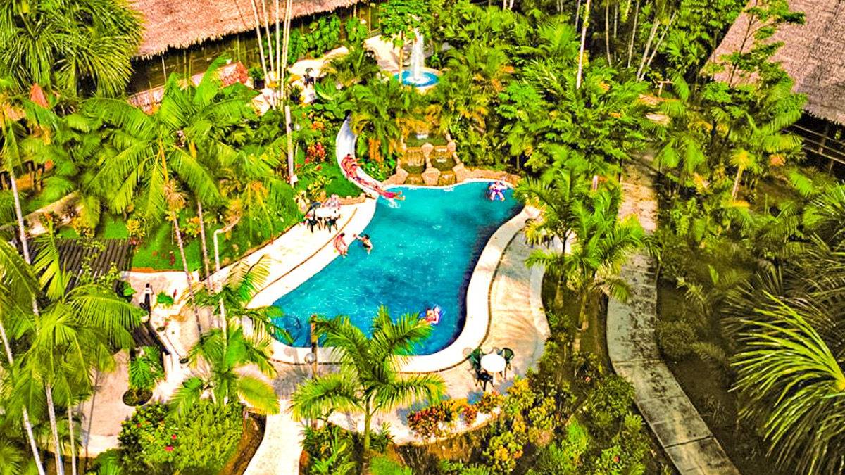 Ceiba Tops Lodge |  Ceiba Tops Lodge / Chamleon