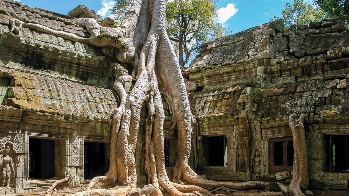 Würgefeige in Ta Prohm | © Kurt Heller-Lindt / Chamäleon Würgefeige in Ta Prohm | © Kurt Heller-Lindt / Chamäleon