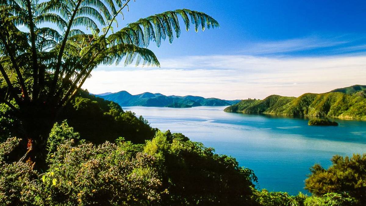 Die Picton Bucht in den Marlborough Sounds |  Dirk Bleyer / Chamleon
