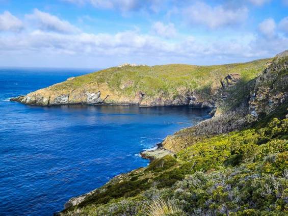 Pinguin Projekt |  Andrea Rey, Wildlife Ecology and Conservation Lab /  Chamleon