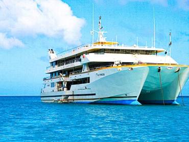 Fiji Princess |  Fiji Princess / Chamleon