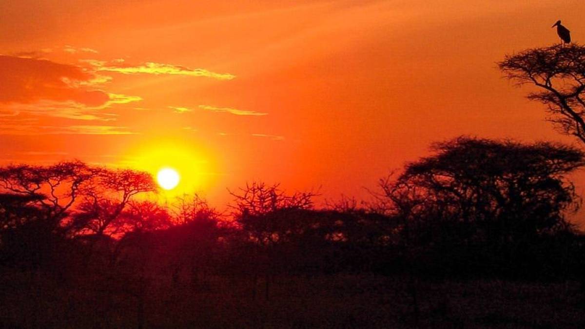 Sonnenuntergang | © Antje Bauer / Chamäleon Sonnenuntergang | © Antje Bauer / Chamäleon