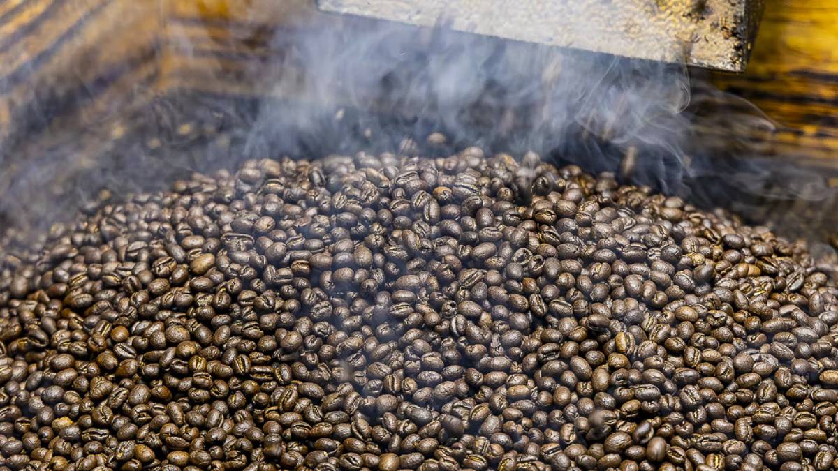 Kaffeerösterei | © Sabie Valley Coffee / Chamäleon Kaffeerösterei | © Sabie Valley Coffee / Chamäleon